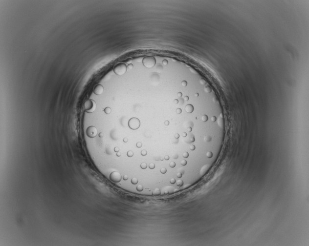 X0000115800974200911131019
