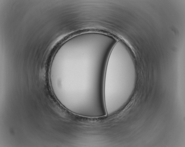 X0000115800975200911131019
