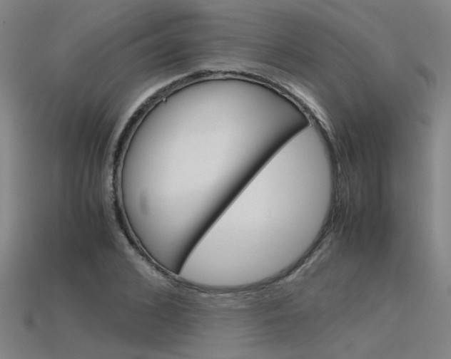 X0000115800976200911131019