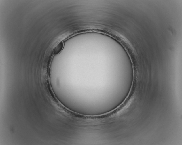 X0000115800977200911131019