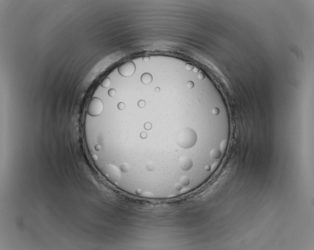 X0000115800978200911131019