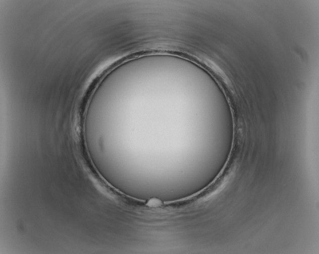X0000115800981200911131019