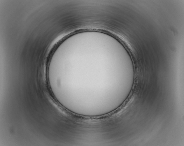 X0000115800982200911131019