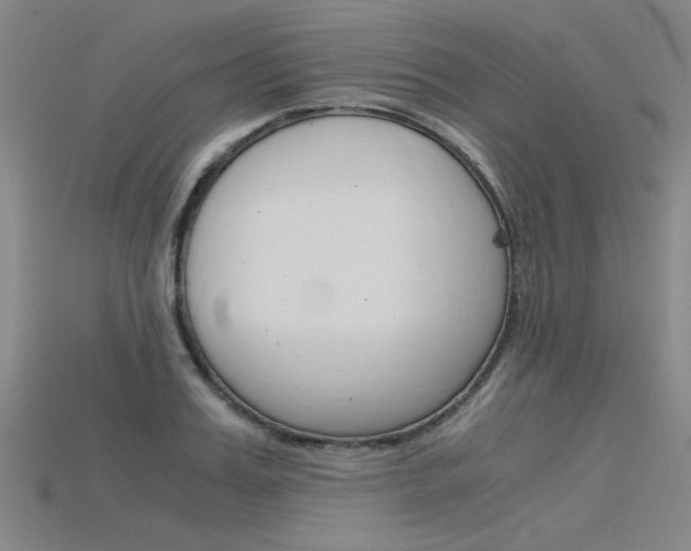 X0000115800987200911131019