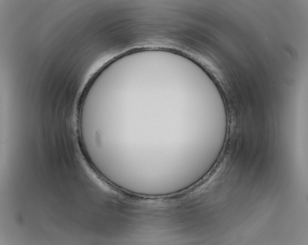 X0000115800990200911131018