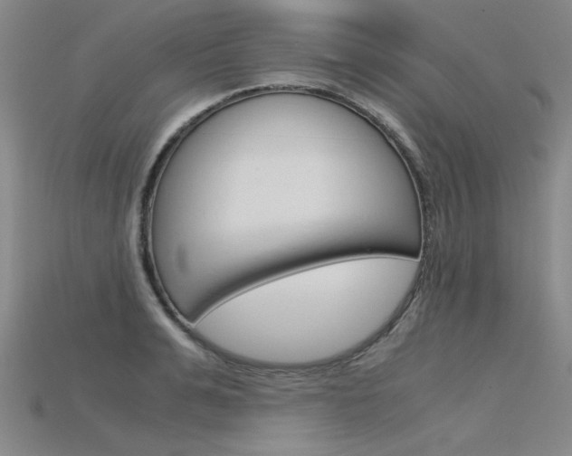 X0000115800991200911131018