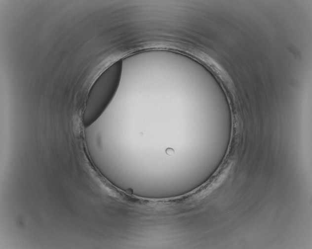X0000115800993200911131018