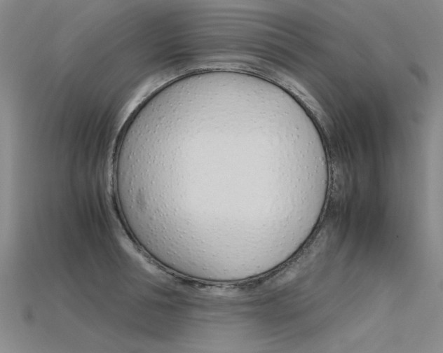 X0000115800994200911131018