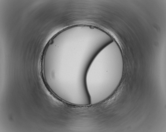 X0000115800999200911131018
