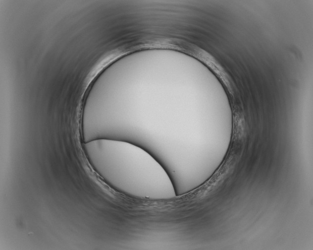X0000115801002200911131018