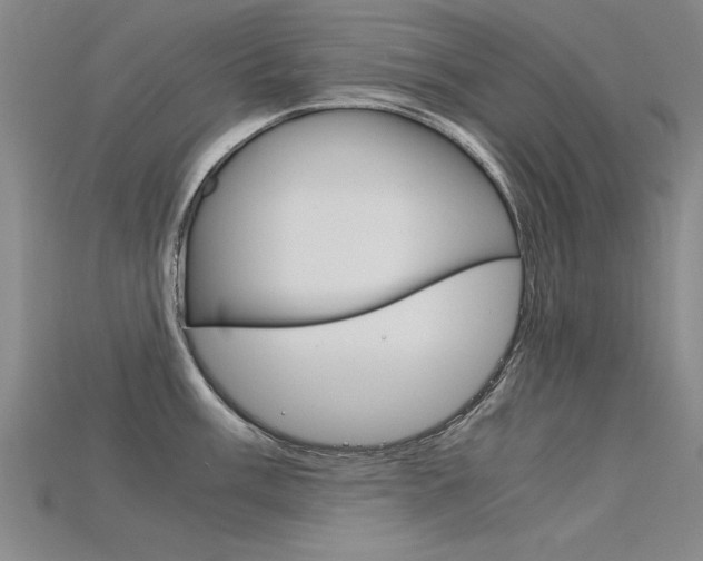 X0000115801003200911131018