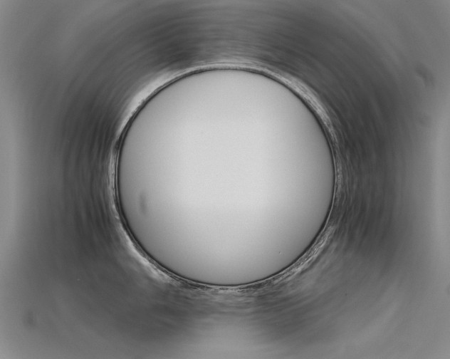 X0000115801006200911131018