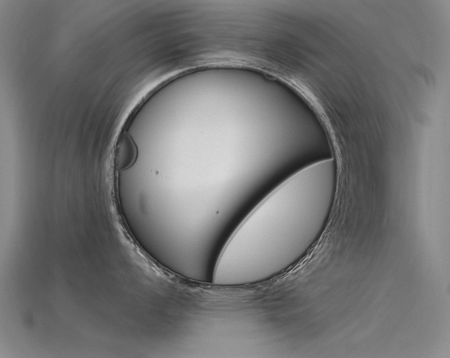 X0000115801008200911131018