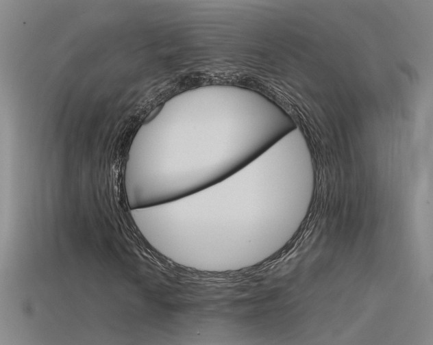 X0000115801010200911131018