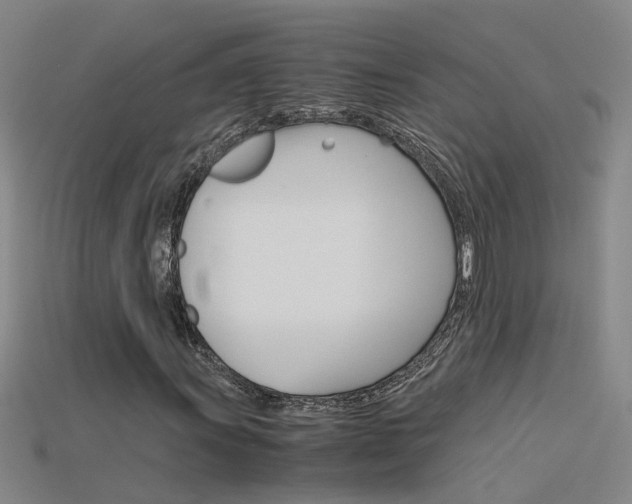 X0000115801011200911131018