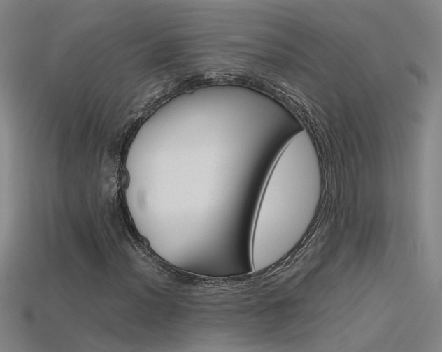 X0000115801012200911131018