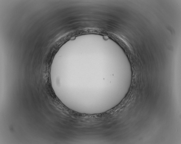 X0000115801015200911131018