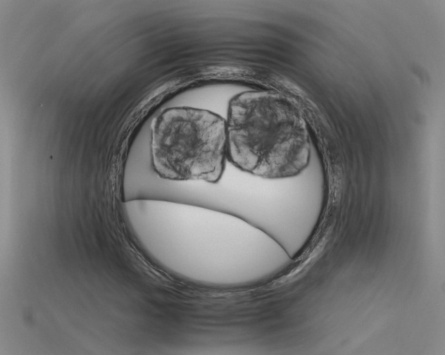 X0000115801017200911131018