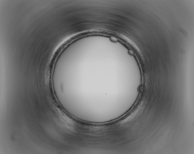 X0000115801021200911131018