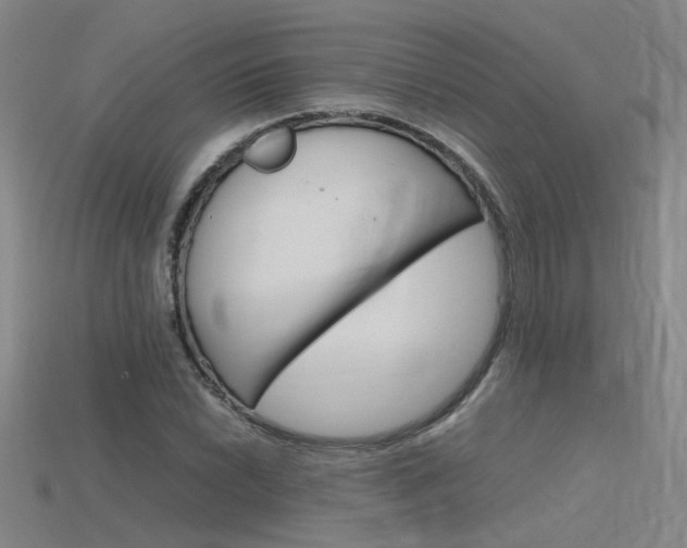 X0000115801022200911131018