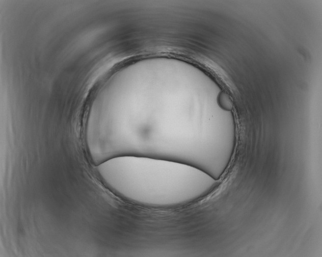 X0000115801023200911131018