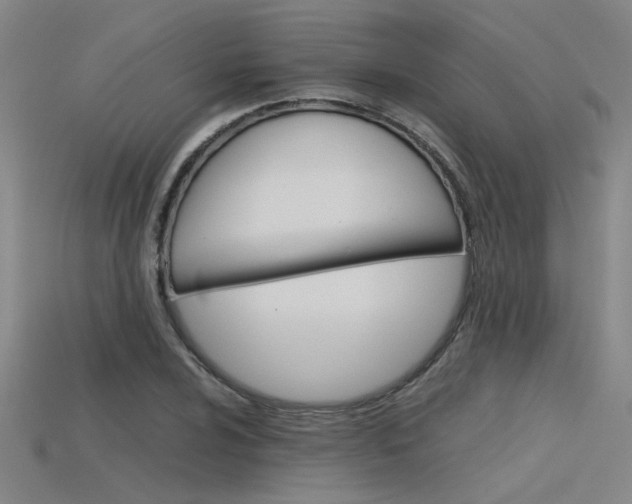 X0000115801024200911131018