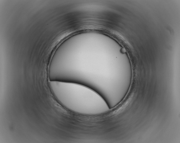 X0000115801025200911131018