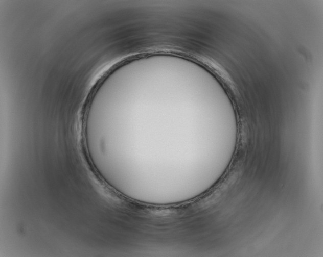 X0000115801031200911131018
