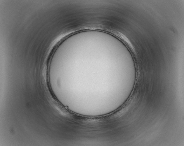 X0000115801035200911131018