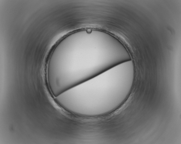 X0000115801038200911131018
