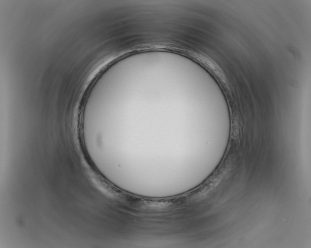 X0000115801039200911131018