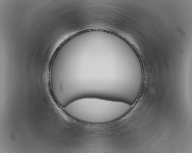 X0000115801040200911131018