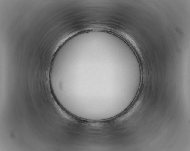 X0000115801041200911131018