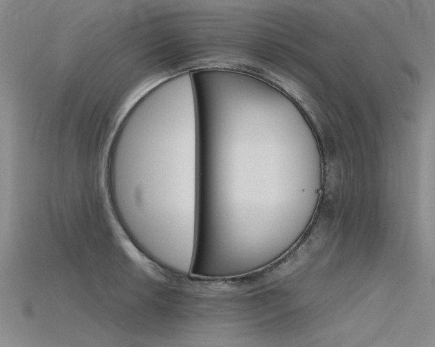 X0000115801042200911131018