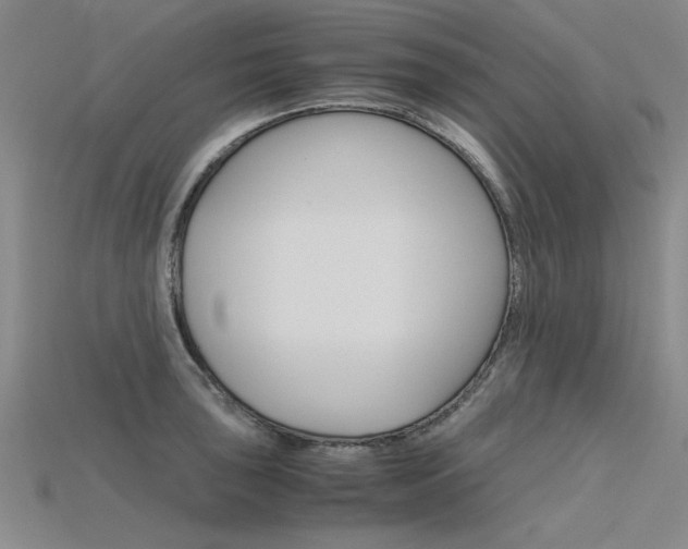 X0000115801043200911131018