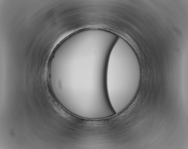 X0000115801044200911131018