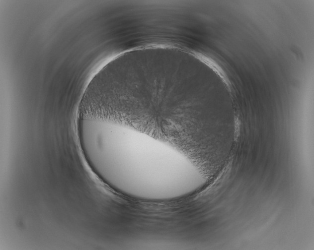 X0000115801047200911131018