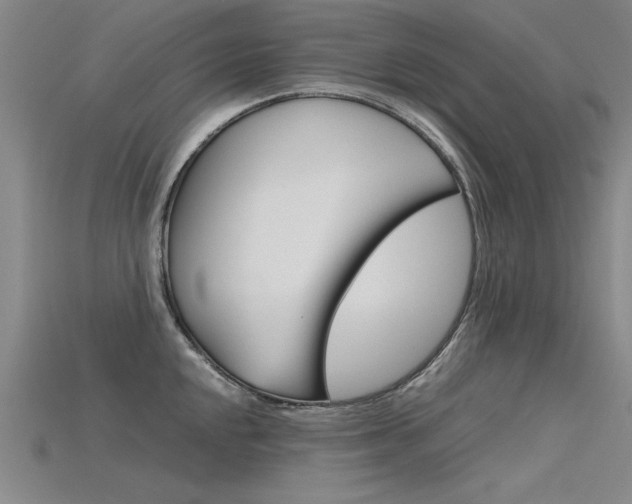 X0000115801048200911131018