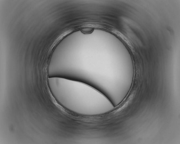 X0000115801049200911131018