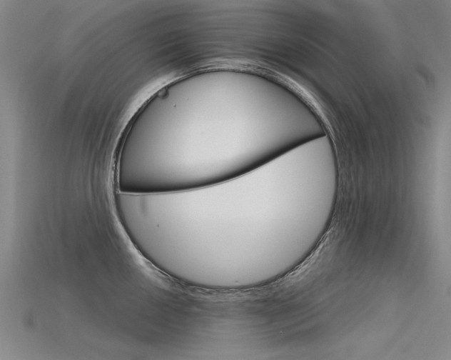 X0000115801050200911131018