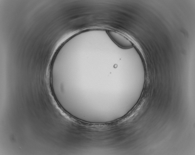 X0000115801053200911131018