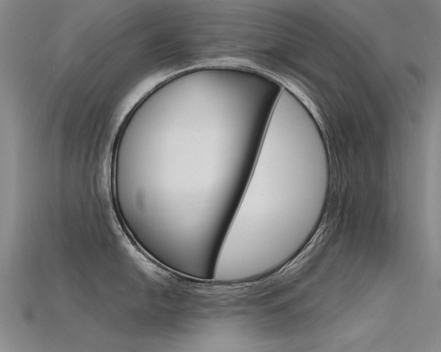 X0000115801054200911131018