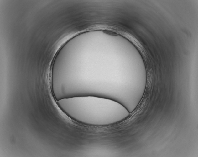 X0000115801055200911131018