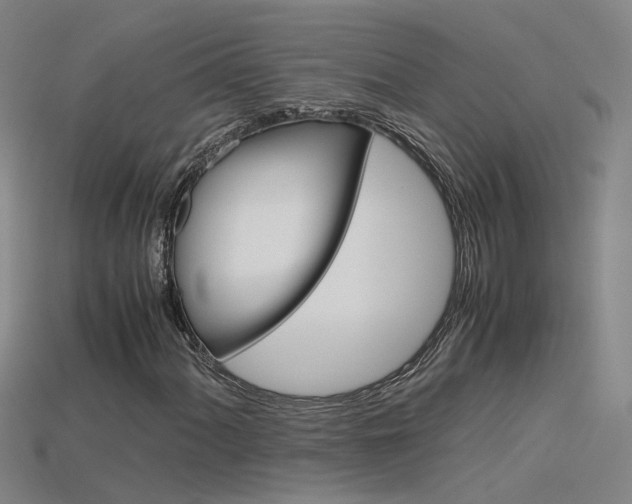 X0000115801060200911131018