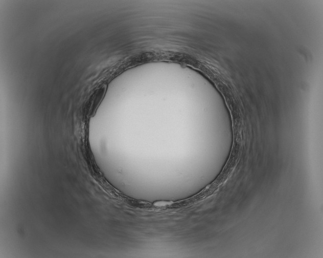 X0000115801061200911131018