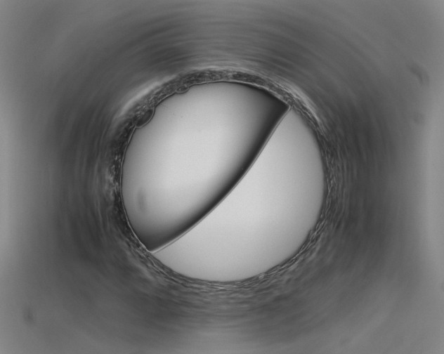 X0000115801064200911131018