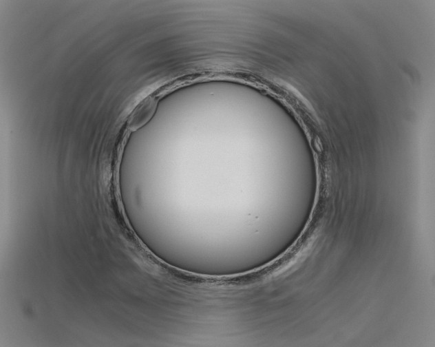 X0000115801065200911131017