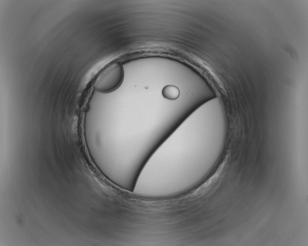 X0000115801066200911131017