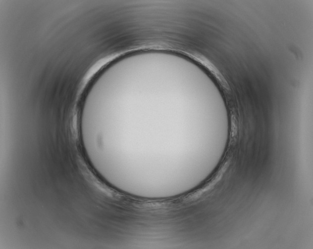 X0000115801078200911131017