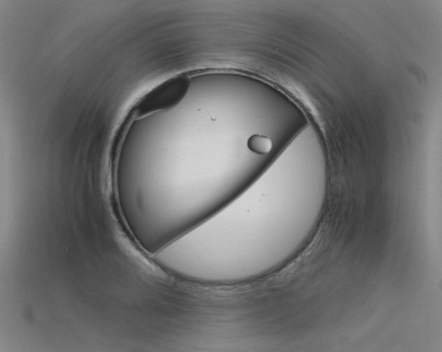X0000115801080200911131017